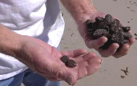 Эта дрянь разрушает красные кровяные тельца