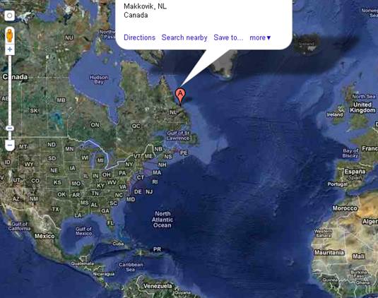 Участок массовой гибели морских животных на северо-востоке Канады