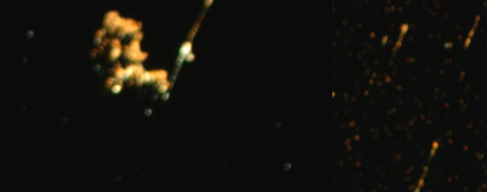 Метастазы Мексиканского залива. Часть 7