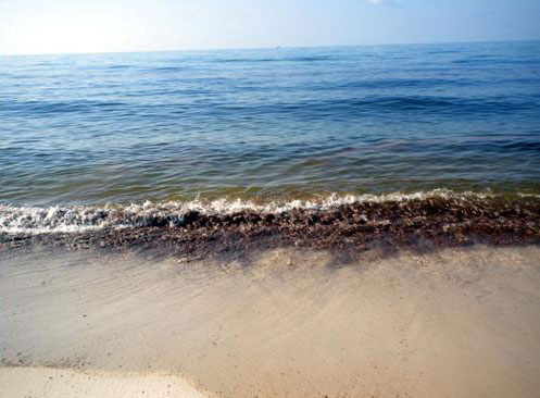 Метастазы Мексиканского залива. Часть 7