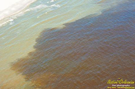 Метастазы Мексиканского залива. Часть 7