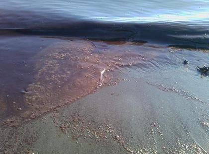 Метастазы Мексиканского залива Часть 8