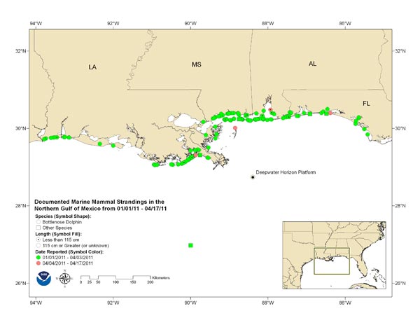 Карта мест обнаружения выбросов тел мёртвых китообразных на берег в северной части Мексиканского залива в 2011 году
