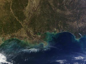 Сравнительные космоснимки участка побережья Мексиканского залива за январь 2011-го