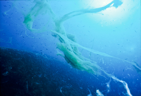 image060.jpg скопления морской слизи у берегов Адриатики