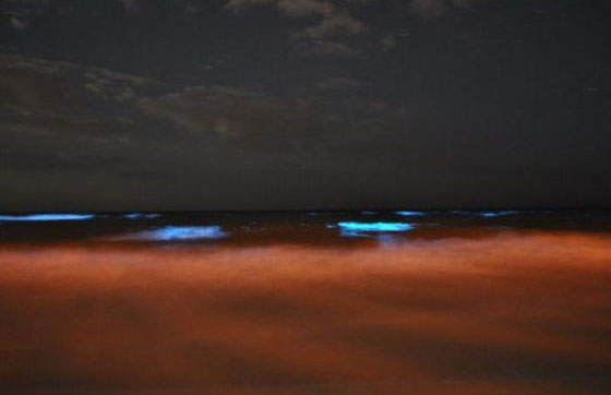 image064.jpg Нетипичное флуоресцентное сине-красное свечение морской воды на побережье Флориды