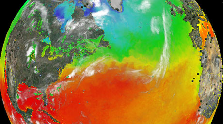 image007.png image007.png