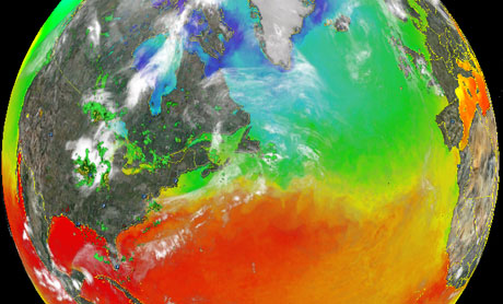 image009.png image009.png