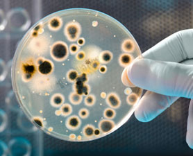 image053.jpg image053.jpg