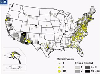 image061.jpg image061.jpg