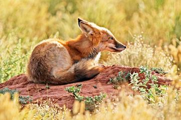 image063.jpg image063.jpg