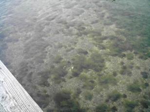 image087.jpg image087.jpg