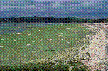 image089.gif image089.gif