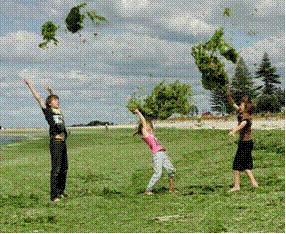 image091.gif image091.gif