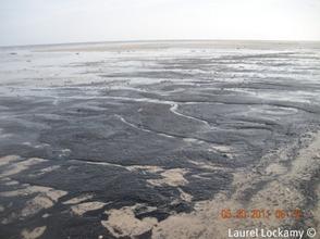 image093.jpg image093.jpg