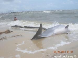 image097.jpg image097.jpg