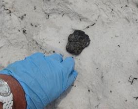 image099.jpg image099.jpg