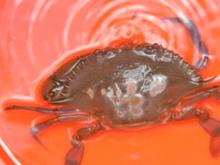 image103.jpg image103.jpg