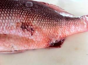 image106.jpg image106.jpg