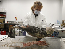 image107.jpg image107.jpg