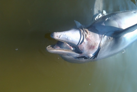 image115.png image115.png