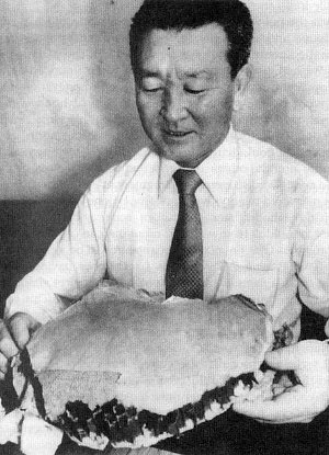 Обломок ячеистой структуры от КAL 007, найденный в проливе Цугару в сентябре 1983 года