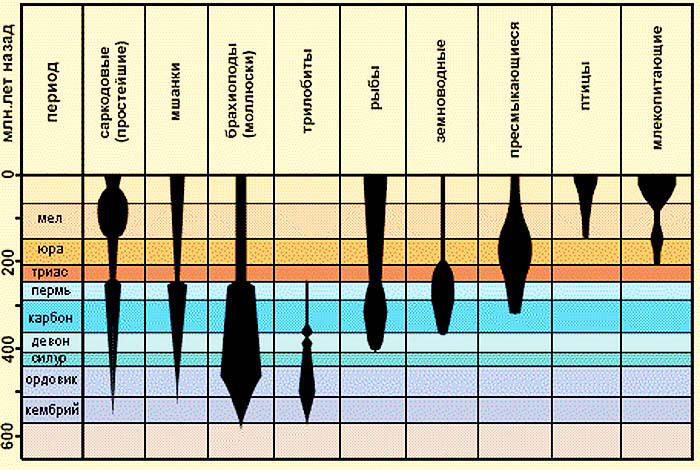Количество видов фауны