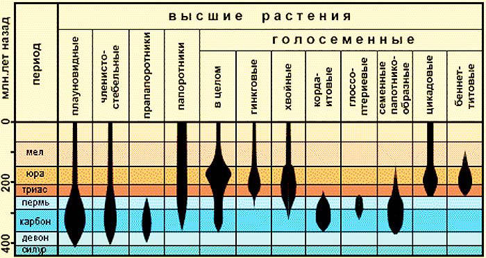 Количество видов флоры