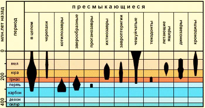 Количество видов пресмыкающихся