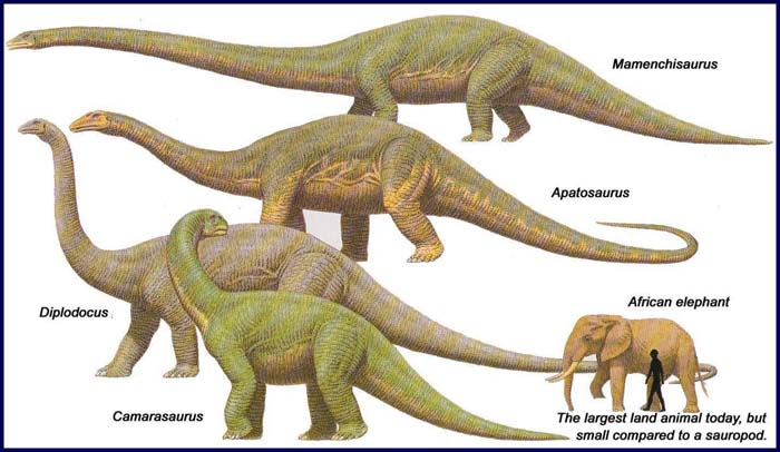 Гиганты юрского периода
