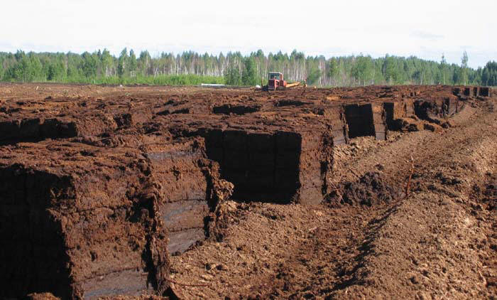 Современные залежи торфа
