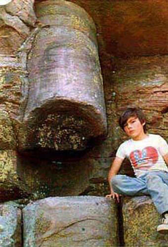 Полистратная окаменелость дерева, пронизывающая сразу несколько угольных слоев