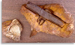 Молоток в породе, датируемой возрастом более 100 миллионов лет