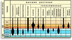 Количество видов флоры