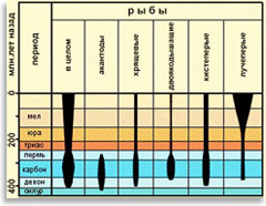 Количество видов рыб