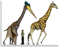 Румынский птеродактиль и современные обитатели Земли