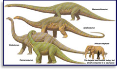 Гиганты юрского периода