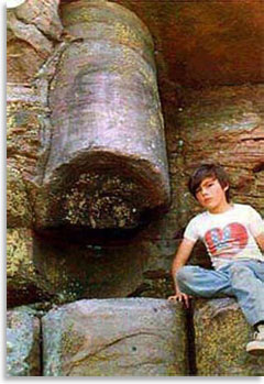 Полистратная окаменелость дерева, пронизывающая сразу несколько угольных слоев