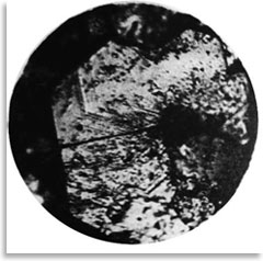 Микрофотография монокристалла естественного графита.