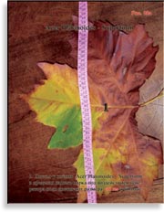 Acer Platanoides (Клён)