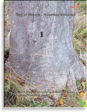 Райское Дерево