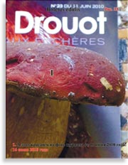 Белые грибы Boletus edulis