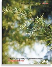 Роса в январе