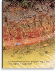 Наша почва – красная глина
