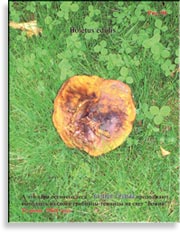 Белый гриб (Boletus edulis) в июне