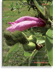 Magnolia «Ricki»