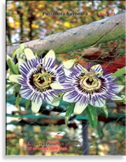 Пассифлора – Passiflora Sayonara