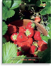 Клубника, садовая земляника – Fragaria ananassa