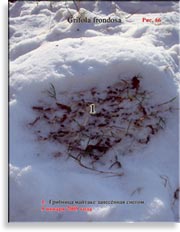 Японский гриб майтаке – Grifola frondosa
