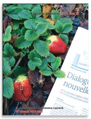 Земляника садовая (клубника), Fragaria ananassa